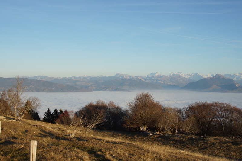 Mer de nuage vue depuis le Salève