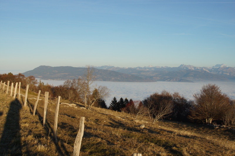 Mer de nuage vue depuis le Salève