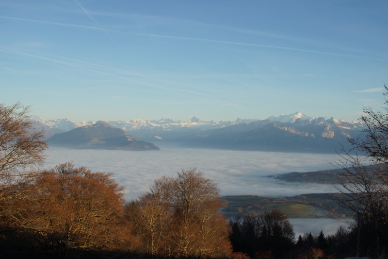 Mer de nuage vue depuis le Salève