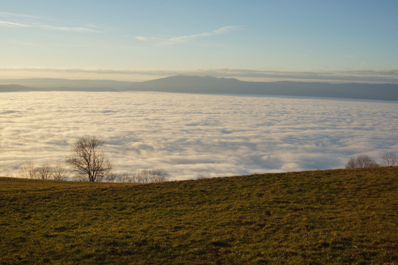 Mer de nuage vue depuis le Salève