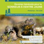 Sessions d’inventaire sonneur à ventre jaune